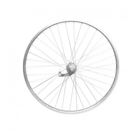 koleso vypletené 20" (406 mm, 28 dier) zadné, Remerx RMX20 AL, torpédo