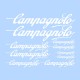 samolepka na bicykel-rámový polep Campagnolo biely