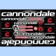 samolepka na bicykel-rámový polep Cannondale biely