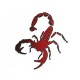 samolepka na bicykel-rámový polep Crawfish