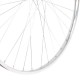 koleso vypletené 28" (635 mm, 36 dier) predné, Speed chróm
