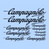 samolepka na bicykel-rámový polep Campagnolo čierny